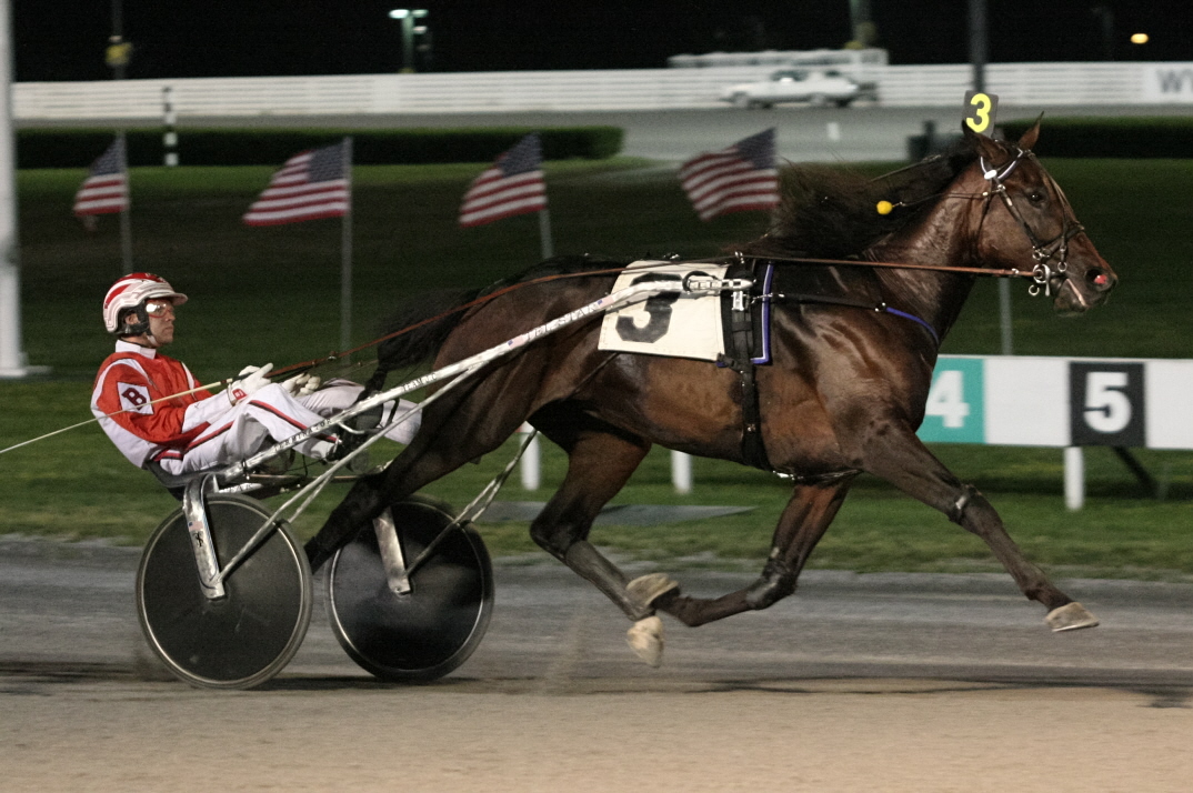 Scorpion Moon  Standardbred Canada